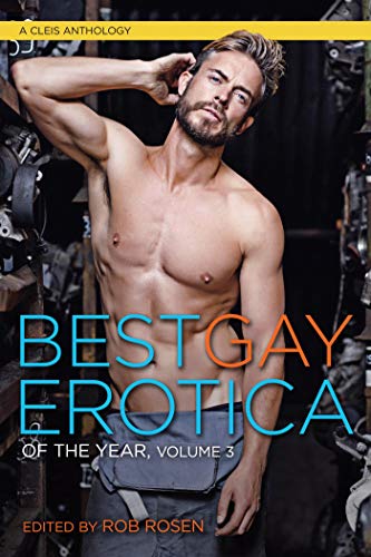 Best Gay Erotica of the Year Vol. 3