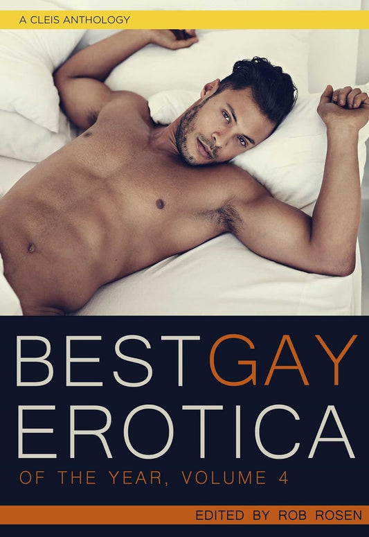 Best Gay Erotica of the Year Vol. 4