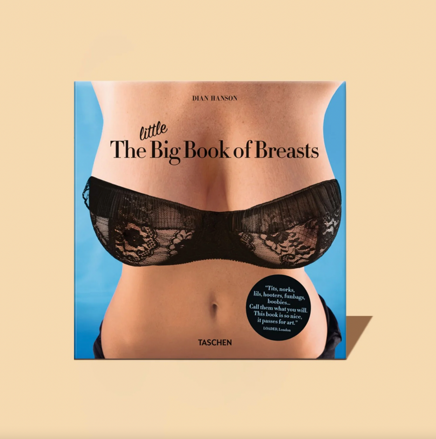 The Little Big Book of Breasts (8x8)