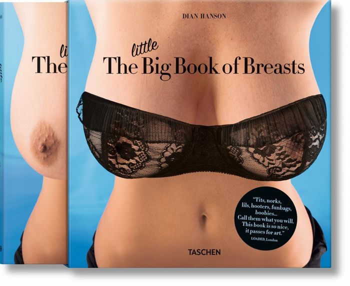 The Little Big Book of Breasts (8x8)